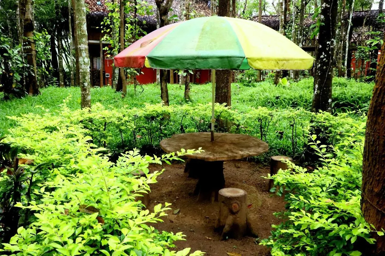 Pepper Green Wayanad Resort With Swimming Pool Kattikkulam
