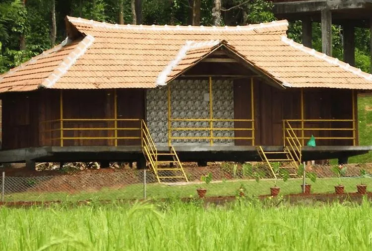 Pepper Green Wayanad Resort With Swimming Pool Kattikkulam