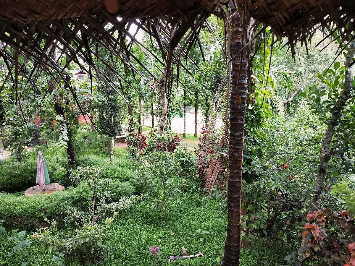 Pepper Green Wayanad Resort With Swimming Pool Kattikkulam